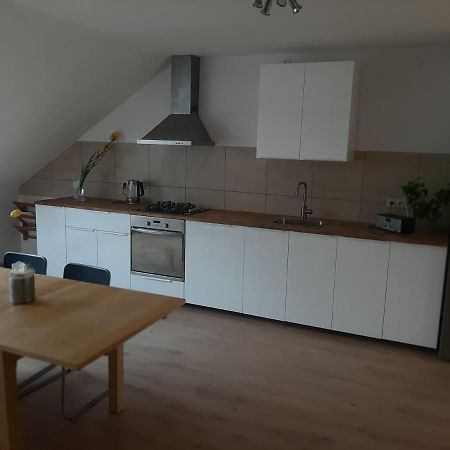 Apartman Dvorak 194 Pod Svatou Horou Příbram Zewnętrze zdjęcie