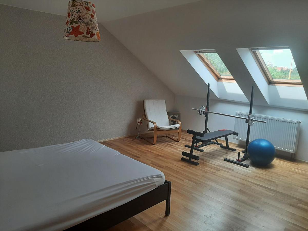 Apartman Dvorak 194 Pod Svatou Horou Příbram Zewnętrze zdjęcie