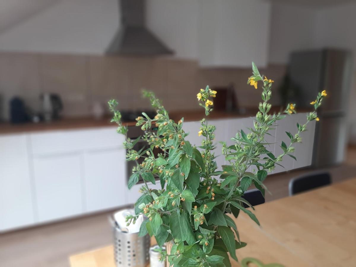 Apartman Dvorak 194 Pod Svatou Horou Příbram Zewnętrze zdjęcie