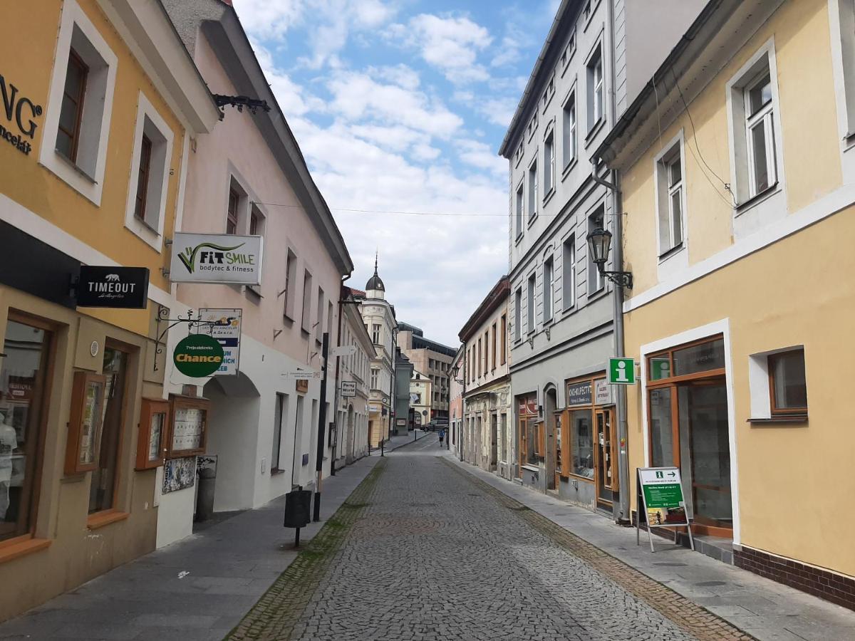 Apartman Dvorak 194 Pod Svatou Horou Příbram Zewnętrze zdjęcie