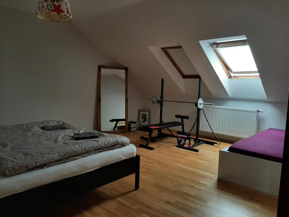 Apartman Dvorak 194 Pod Svatou Horou Příbram Zewnętrze zdjęcie